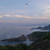 日向岬 クルスの海