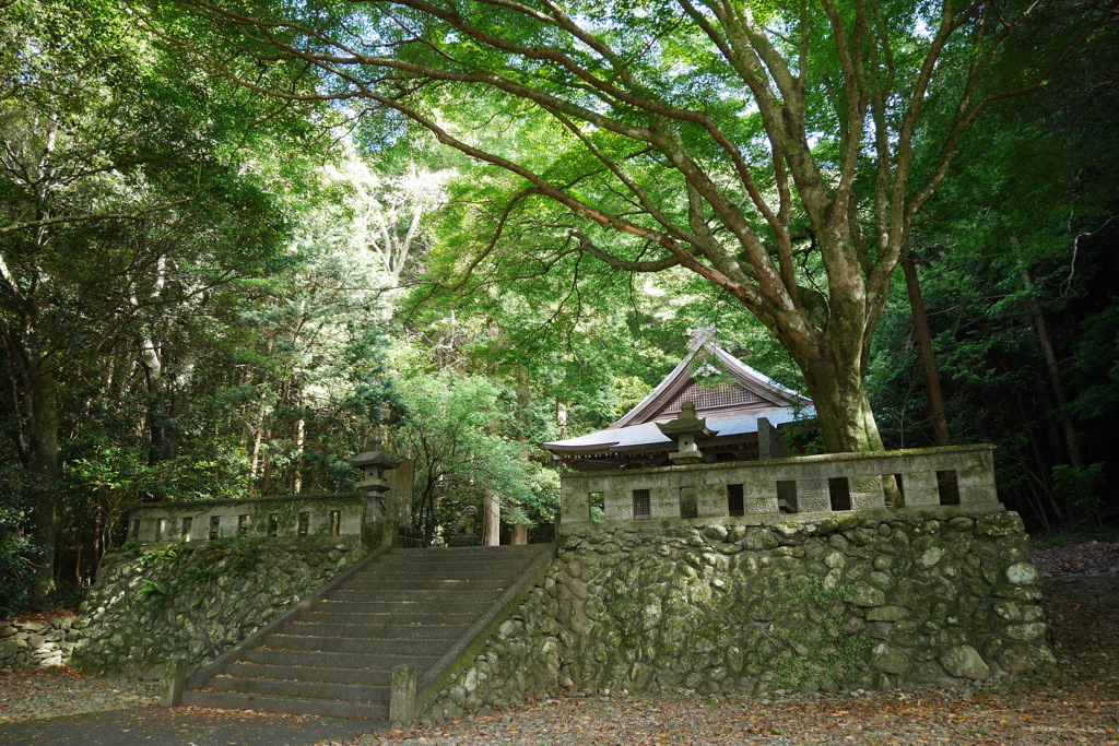 楠本浦 天満社