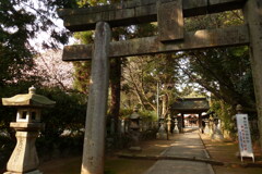 筑紫神社