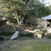 松屋寺 庭園