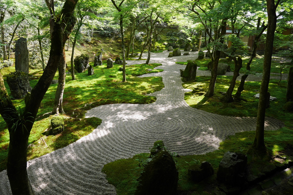 光明禅寺 一滴海庭