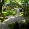 光明禅寺 一滴海庭