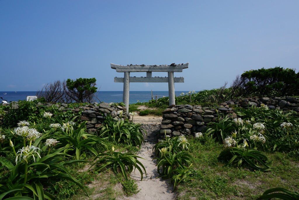 夢崎明神