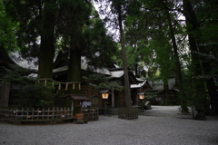 高千穂神社 夫婦杉