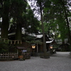 高千穂神社 夫婦杉