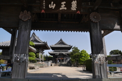 阿波国分寺