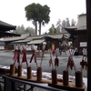霧の阿蘇神社