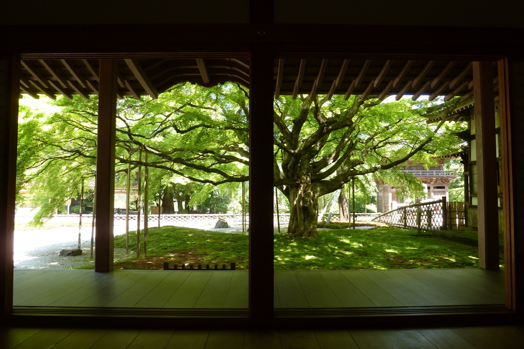 雷山千如寺 大悲王院　書院より