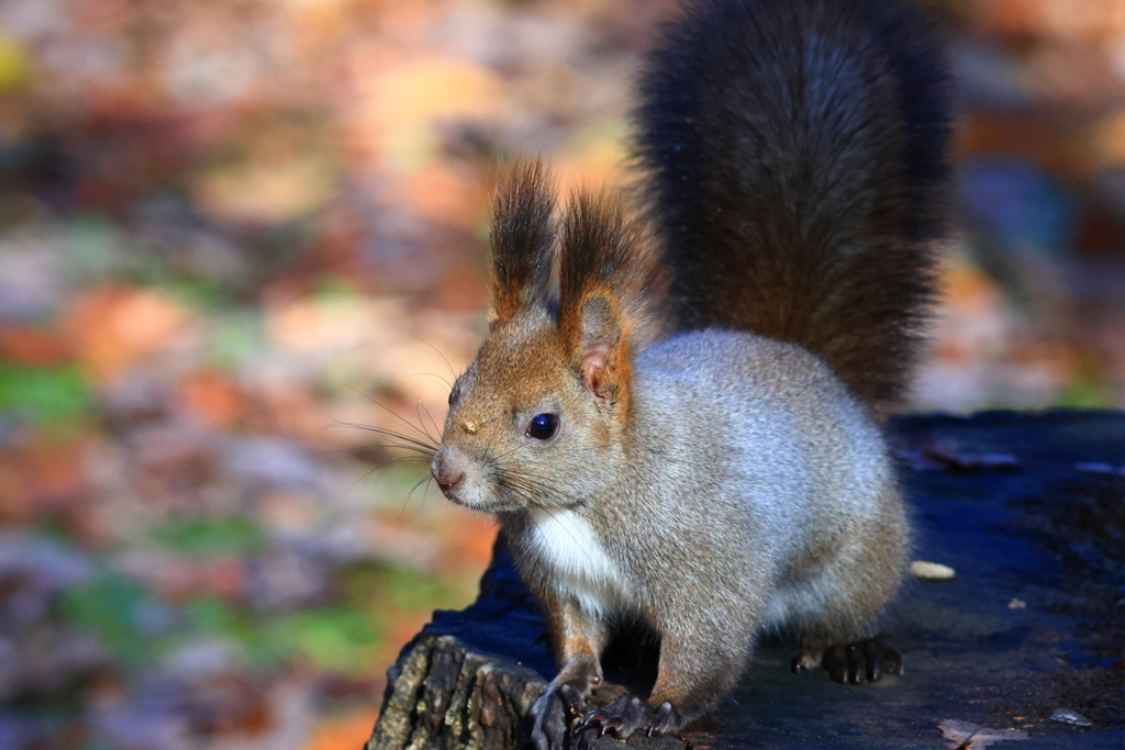 顔になんか付いてるよ