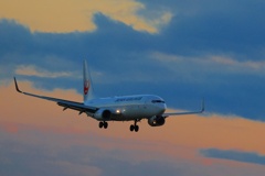 旭川空港2