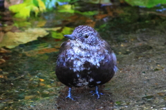 はじめまして。