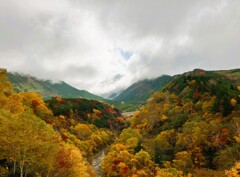 十勝岳の黄葉