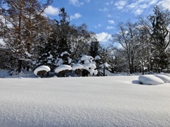 常盤公園2
