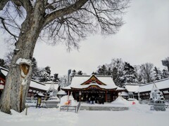 北海道護国神社