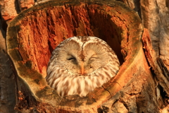 顔見せてくれて、ありがとう。