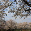 石狩戸田記念墓地公園