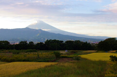 36e04e73d6705f2eab48d0f79d8e215