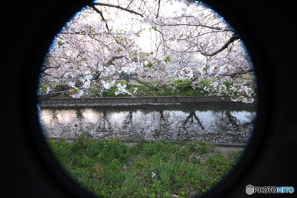 DSCF6946