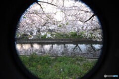 DSCF6946