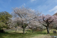 DSCF1169_