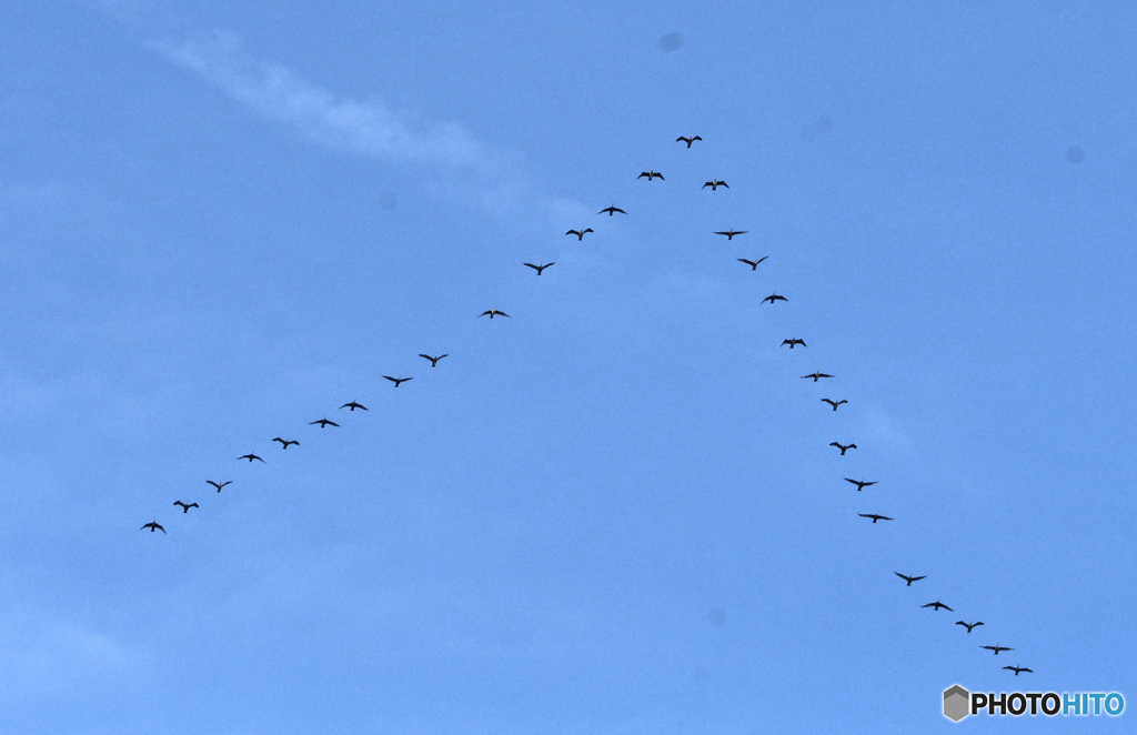 自然界のルール