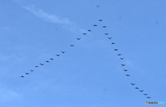 自然界のルール