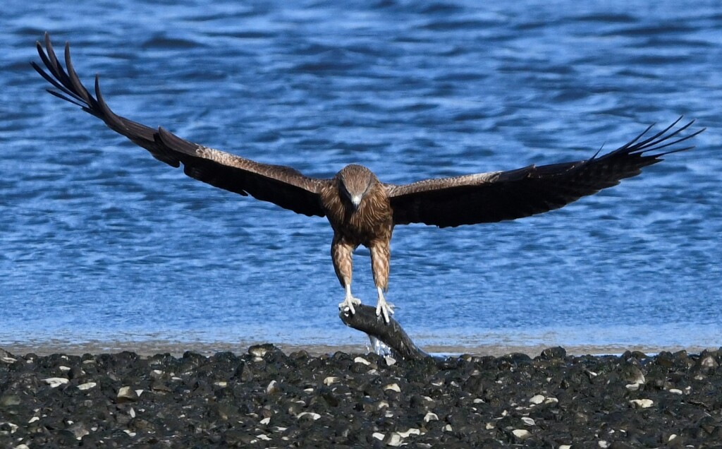 遠慮せず、頂戴