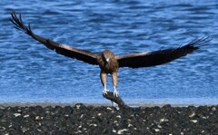 遠慮せず、頂戴