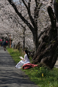 本読みの花