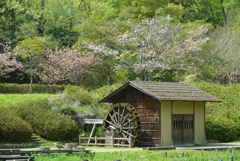 春の大和民族公園、①