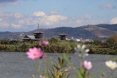 西ノ京散策5