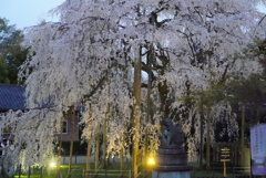 足羽神社