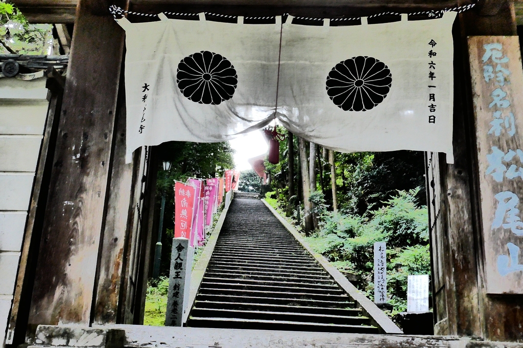 今日のお散歩10/18