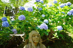 雲辺寺山の紫陽花と五百羅漢3