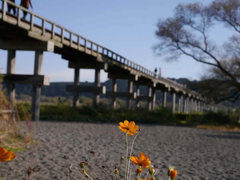 蓬莱橋