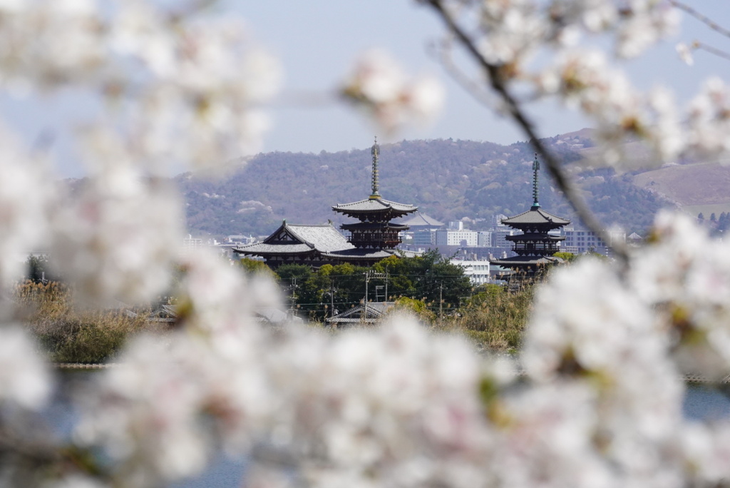 DSC00178薬師寺遠景4