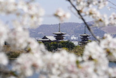 DSC00178薬師寺遠景4
