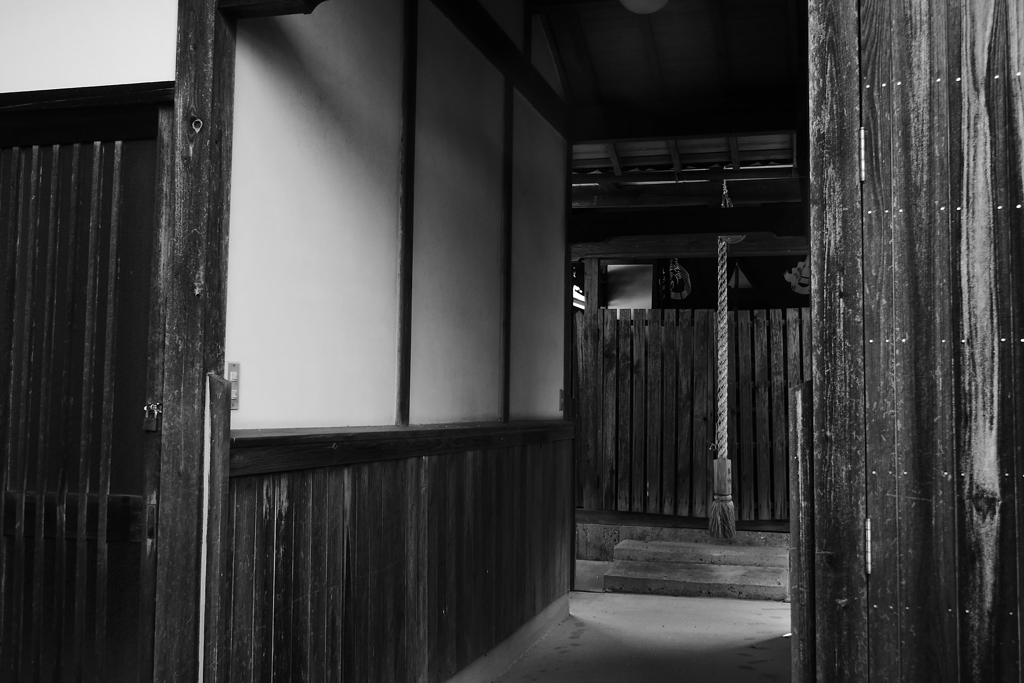今日のお散歩10/14