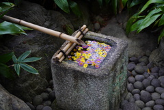 静寂の一時、その2
