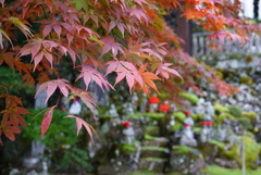方広寺の五百羅漢と紅葉