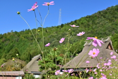 かやぶきの里にて⑤