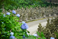 雲辺寺山の紫陽花と五百羅漢2