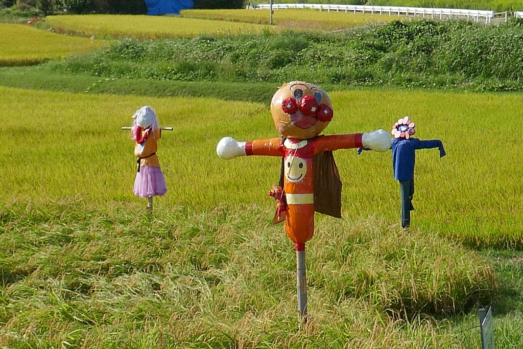 今日のお散歩10/7