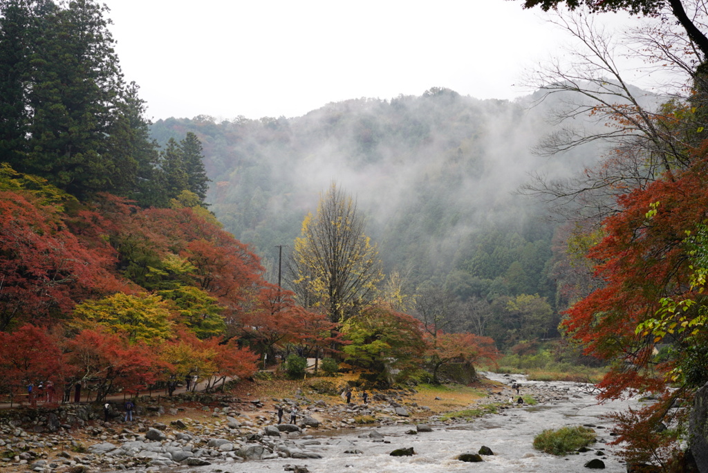 雨の香嵐渓