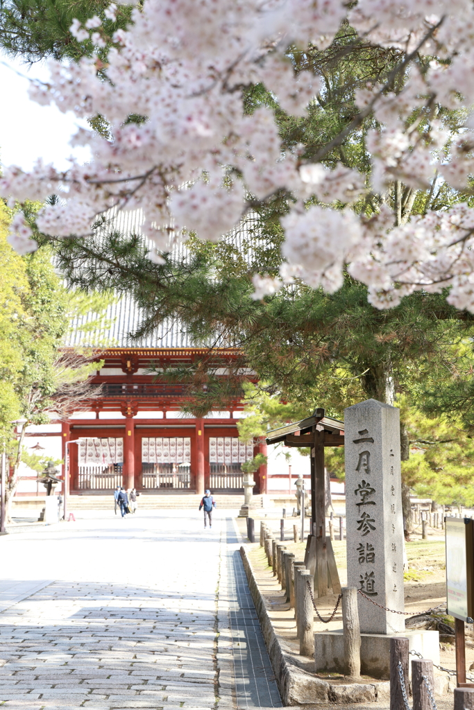 東大寺の桜