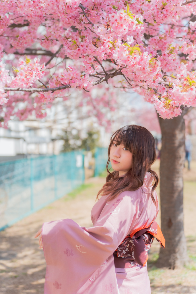 河津桜と着物