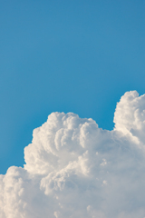 夏の雲