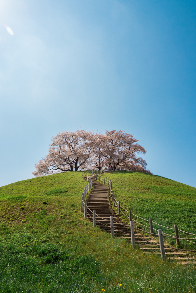 さきたま古墳公園