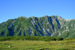 雄大な景色