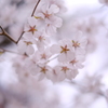ふんわり